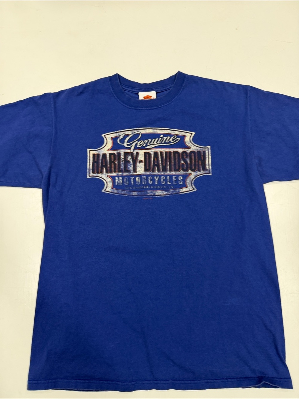 Harley-Davidson Blue Short Sleeve Graphic Tee